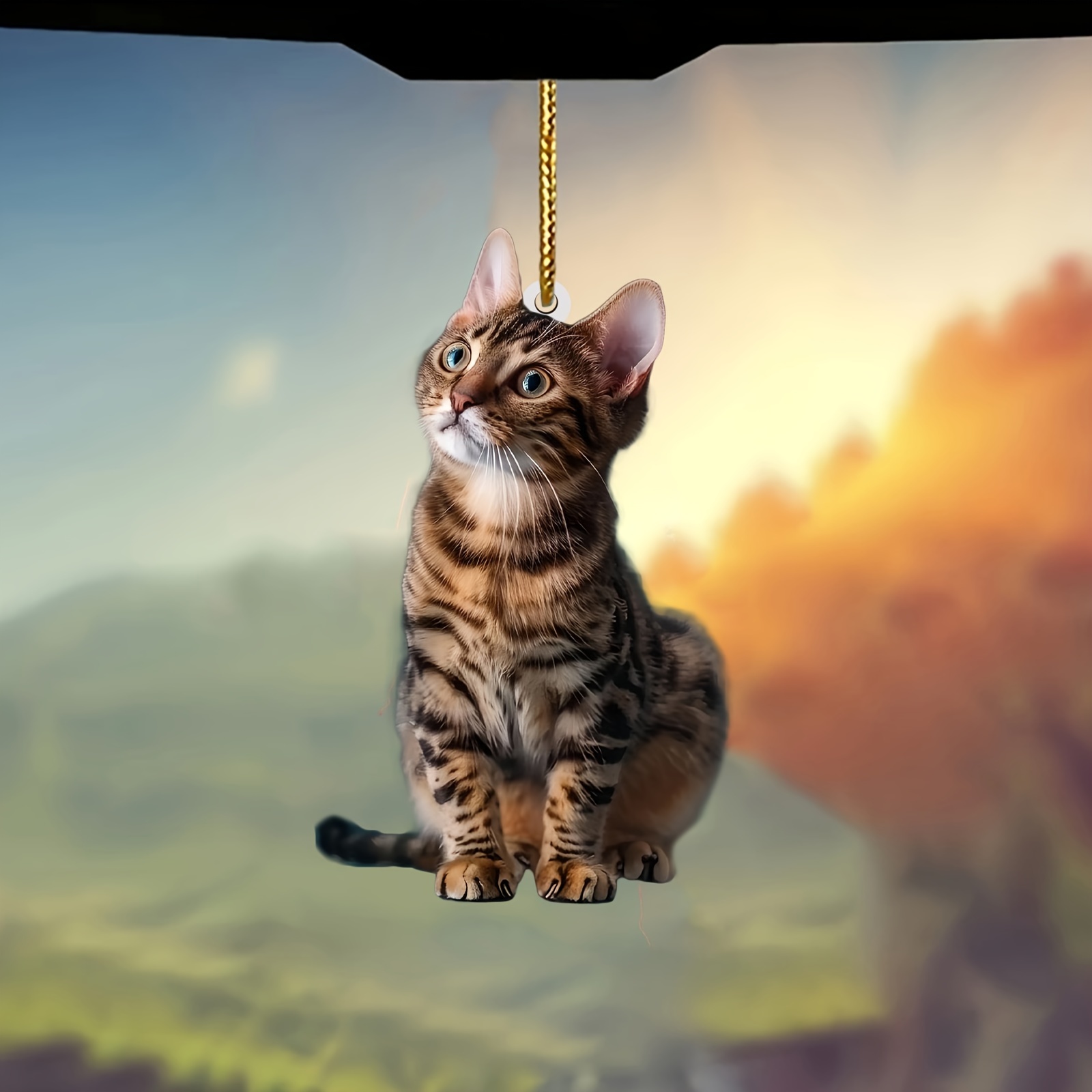 3 個 2D フラット猫アクリルペンダントぶら下げ飾り現実的 - Car Accessories Xmas のレビューと価格